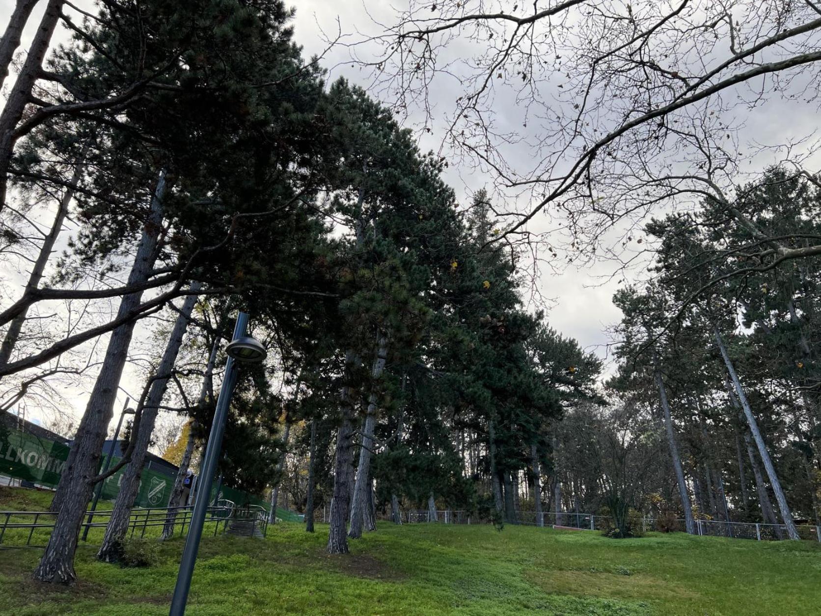 Apartament Loge Sollinger1190 Wiedeń Zewnętrze zdjęcie